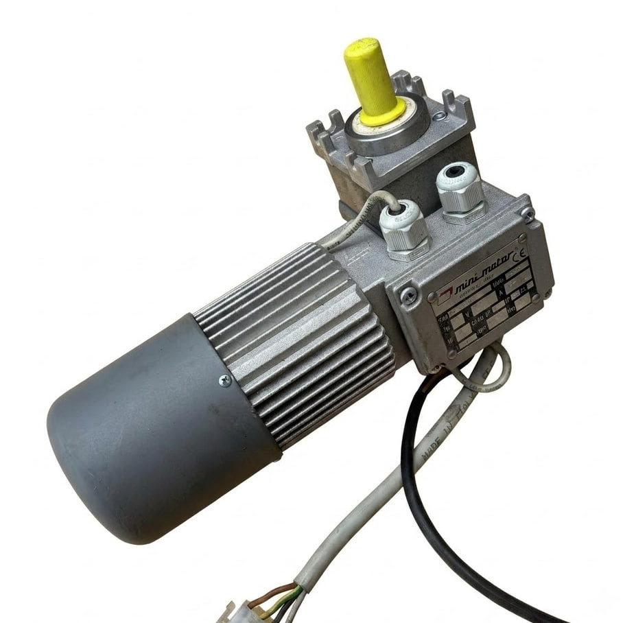 Двигун MINI MOTOR MCEKA160P2 (1)
